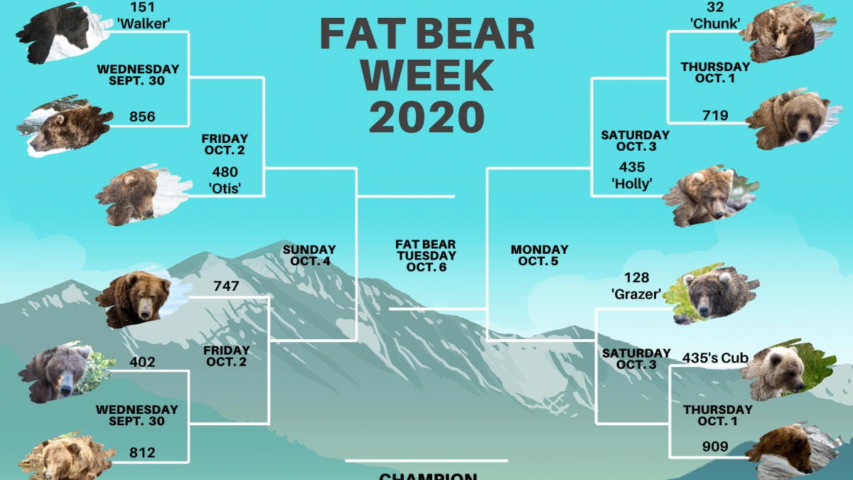 VOTE Fat Bear Week, in Alaska's Katmai National Park, Wants You to