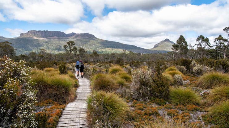 Tasmania Joins New Zealand Bubble and stops Quarantine for Low Risk Areas from Monday 26 October ...