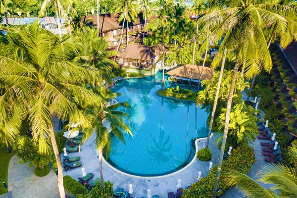 Reduced! 50% Off Patong Beach Favourite: 8 Nights + Flights + Breakfast ...