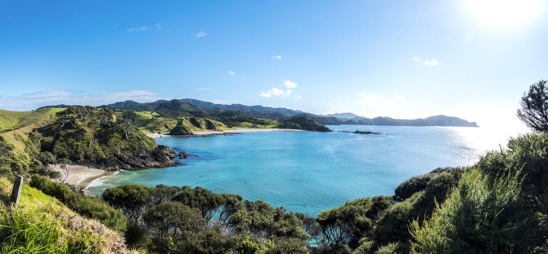 Flights to New Zealand from $242 Return